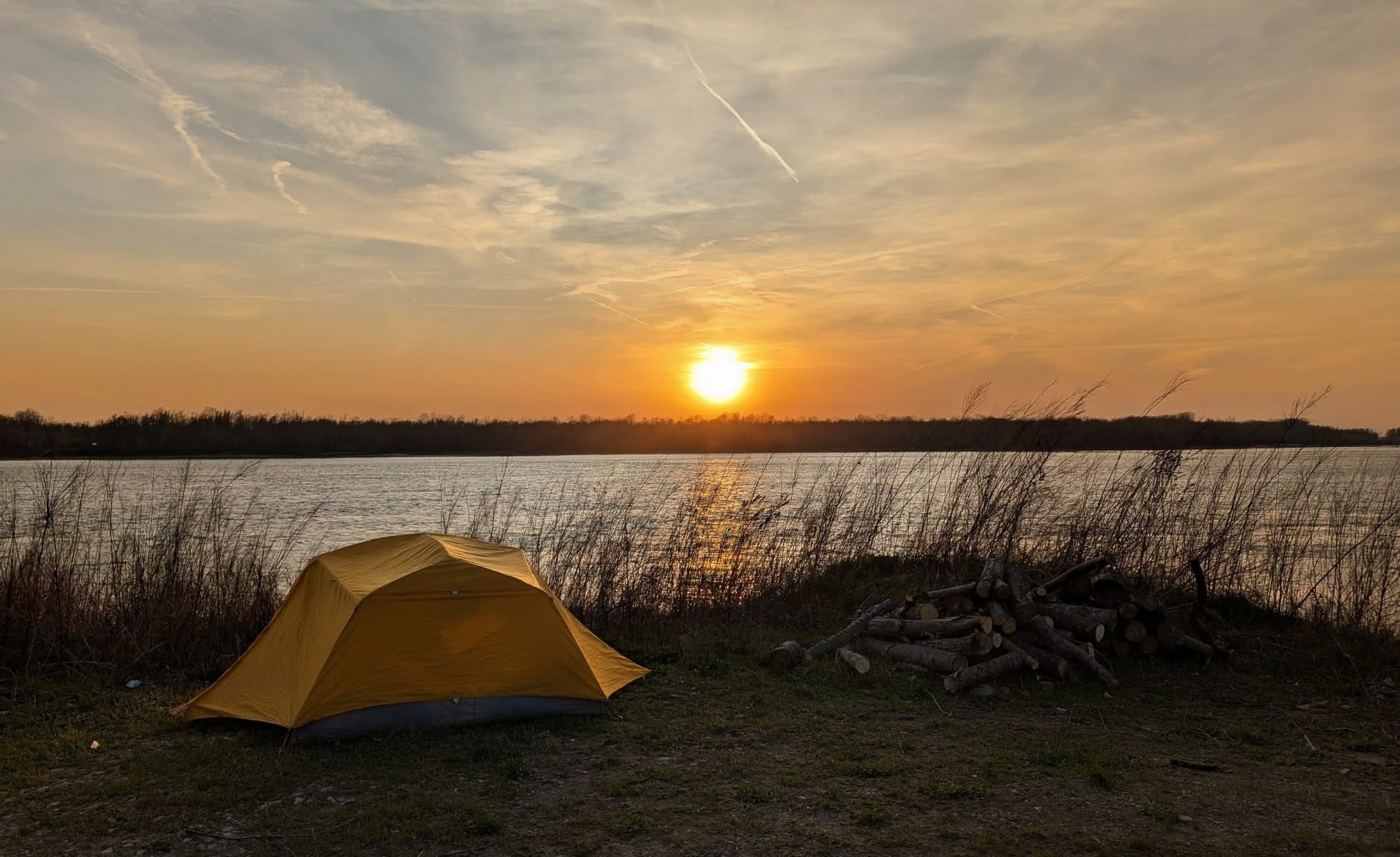 Popeye, Highland Cows, and an 80-to-15 Degree Weather Whiplash