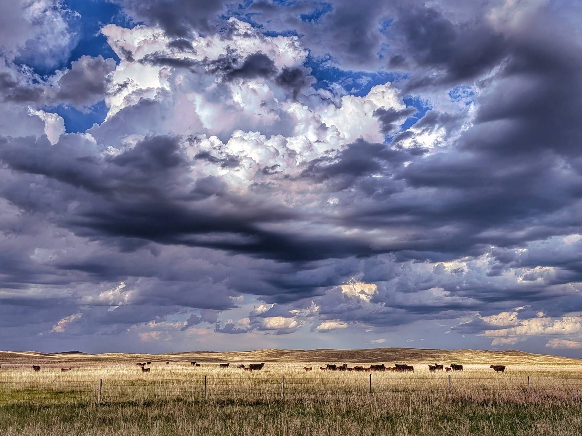 Where the East Lets Go: Bernie's Week 10 on the Cowboy Trail