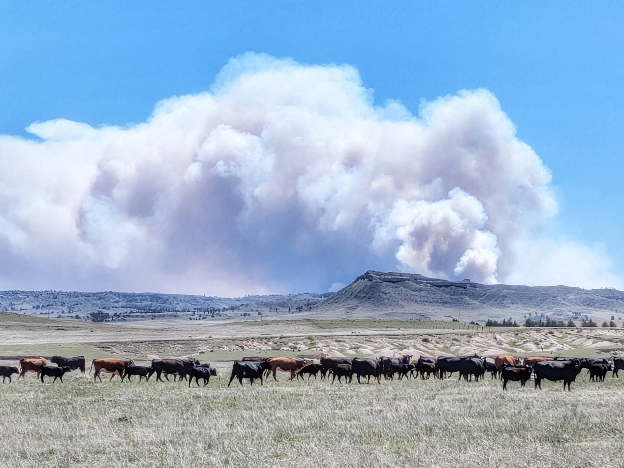 A Wildfire Reroute Across Nebraska: Week 11 on the Great American Rail-Trail