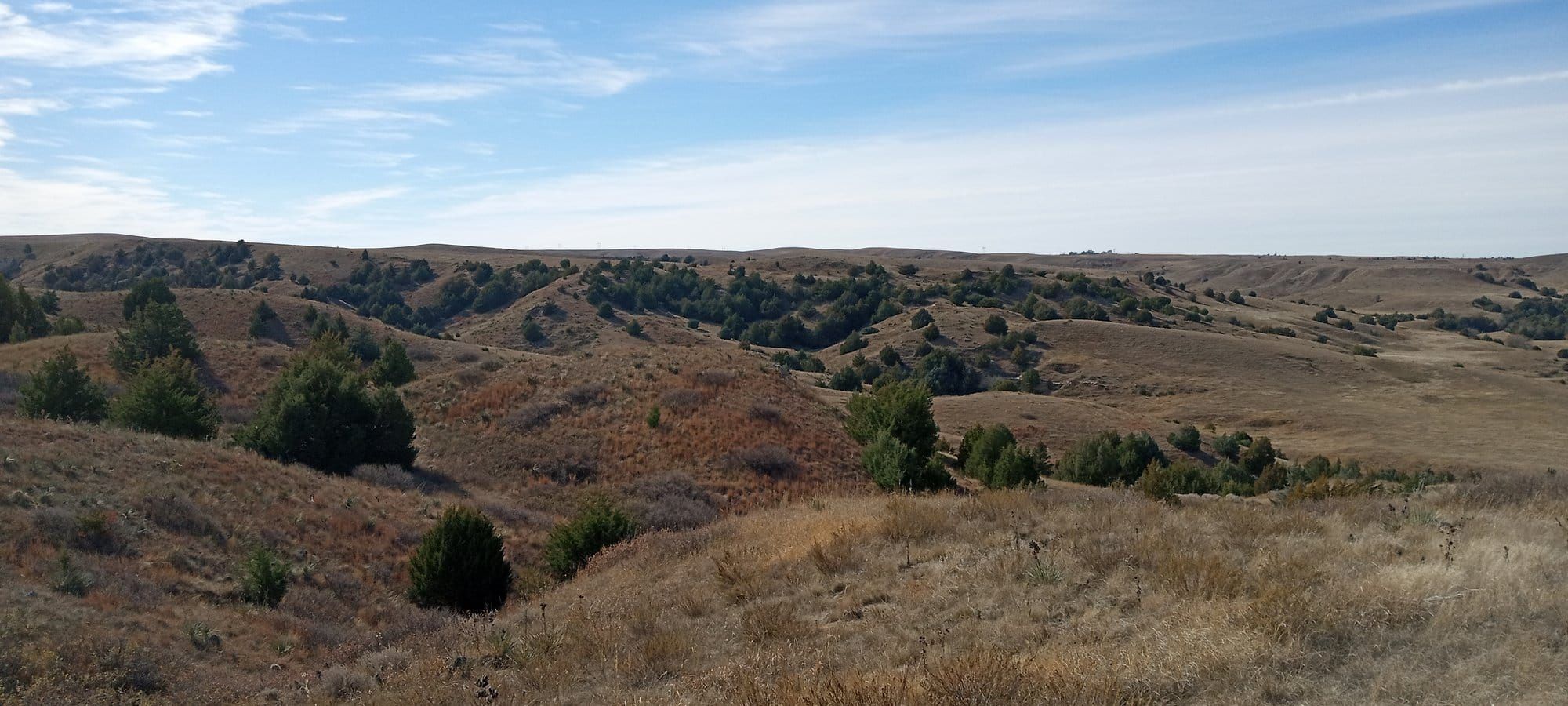 Rolling grass hills dotted with dark cedars, folding down into Ash Hollow under a pale autumn sky