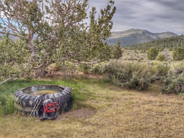 Warner Spring in Nevada is a pool of water inside of a truck tir