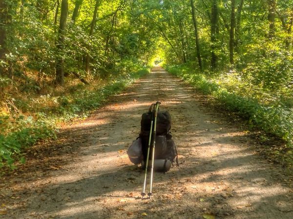 The Dynamic ADT: Latest Updates and Adaptation Strategies for Modern Thru-Hikers 🥾⛰️