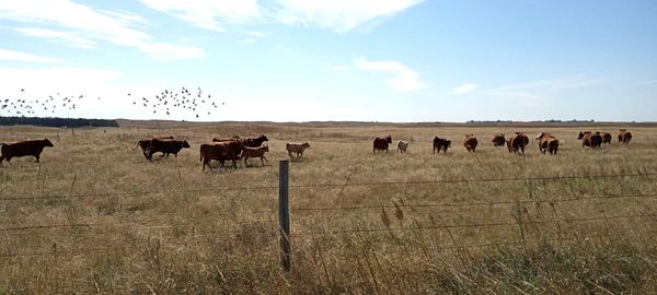 Winter Updates: 80+ New Nebraska Waypoints and Trail Intel