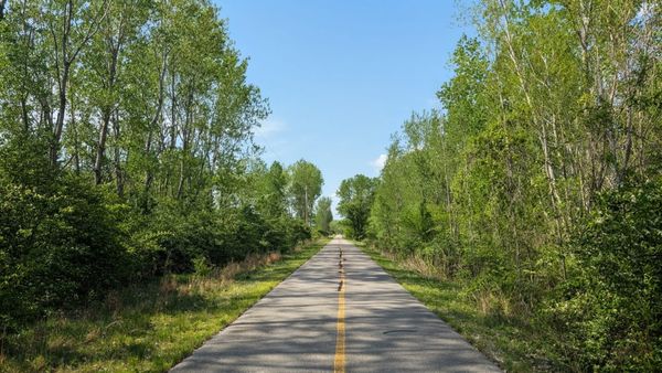 Spring on the ADT — Who's Out There Right Now