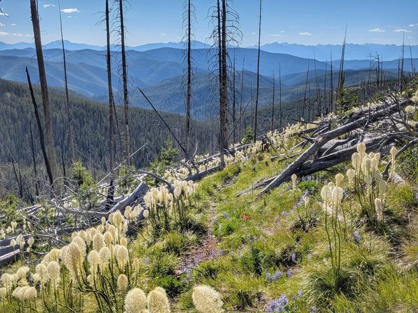 Week 15 on the Great American Rail-Trail: Butte to Missoula