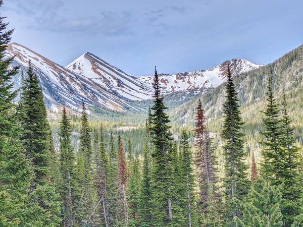 A late spring snow storm dumped feet of snow on the Rockies.