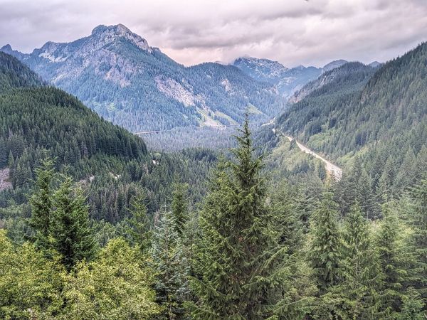 Bernie Krausse Crosses the Cascades and Walks Into the Olympic Peninsula