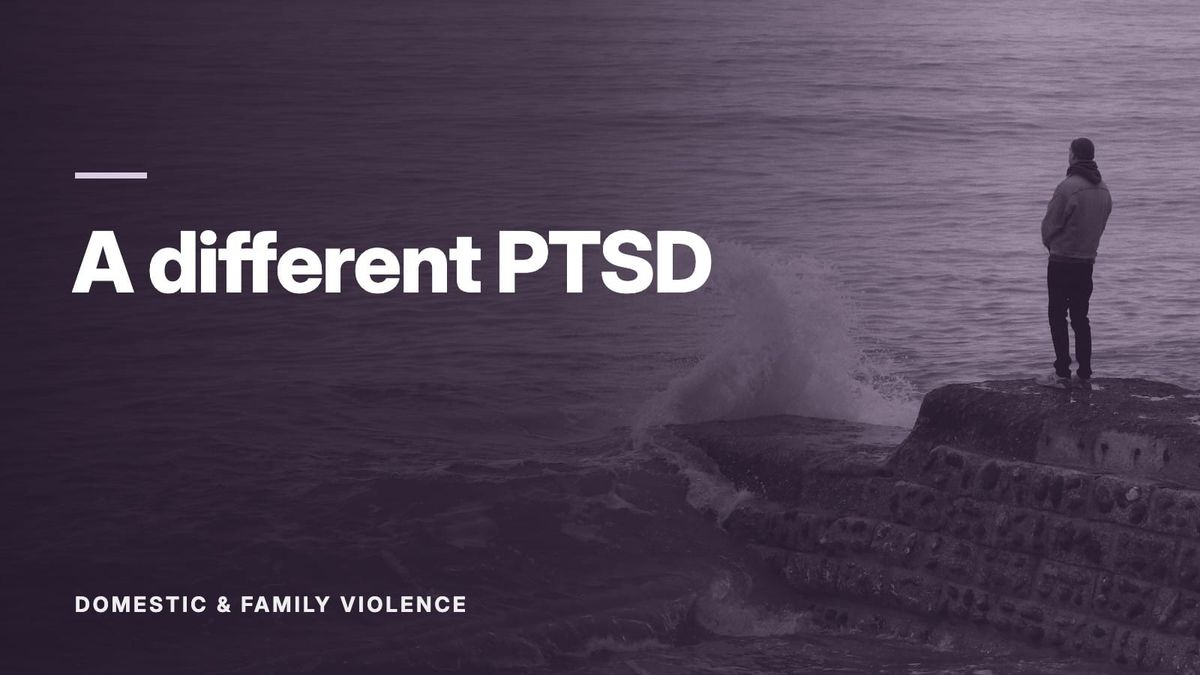 A wave breaking over a rock in a grey-green sea. Text: “A different PTSD”, Domestic & Family Violence.