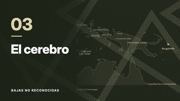 Mapa de Timor Oriental, Papúa Nueva Guinea y Bougainville sobre un patrón de líneas cruzadas, en tonos oliva. Texto: «03 El cerebro», Bajas no reconocidas.