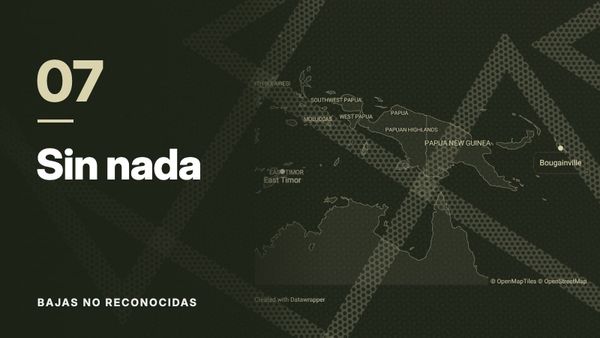 Mapa de Timor Oriental, Papúa Nueva Guinea y Bougainville sobre un patrón de líneas cruzadas, en tonos oliva. Texto: «07 Sin nada», Bajas no reconocidas.