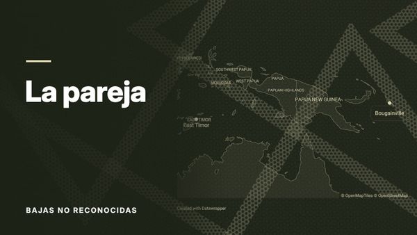 Mapa de Timor Oriental, Papúa Nueva Guinea y Bougainville sobre un patrón de líneas cruzadas, en tonos oliva. Texto: «La pareja», Bajas no reconocidas.
