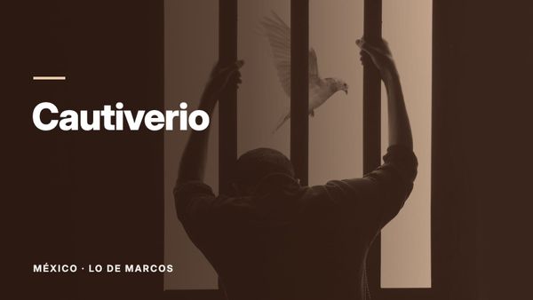 Una figura a contraluz agarrada a los barrotes de una ventana mientras un pájaro blanco pasa volando afuera. Texto: «Cautiverio», México: Lo de Marcos.