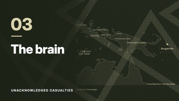 Map of East Timor, Papua New Guinea and Bougainville over a pattern of crossing dotted lines, in olive tones. Text: “03 The brain”, Unacknowledged Casualties.