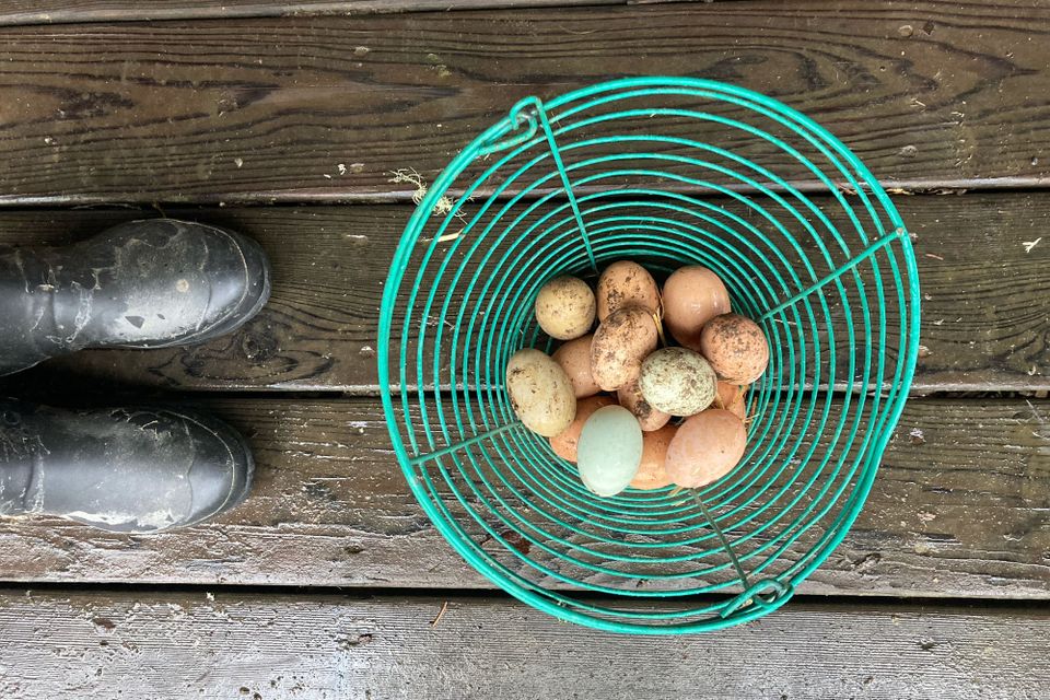 A year of living messily