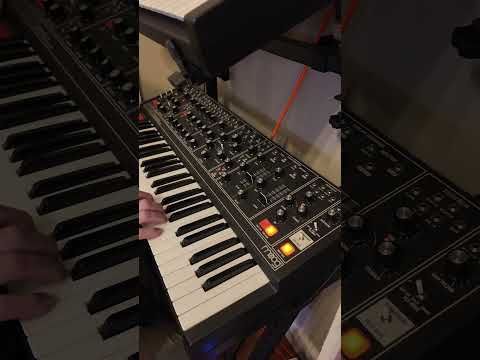 #jamuary Day 13 - Exploration on the #moogmatriarch