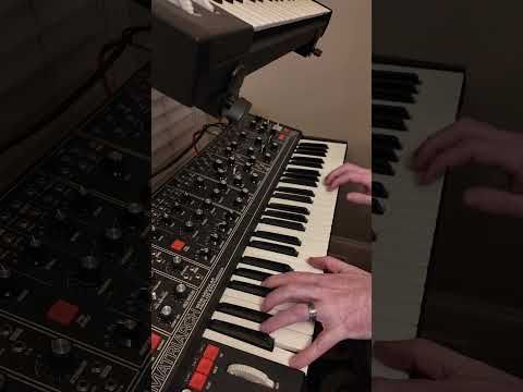 #jamuary Day 22 - No MIDI Allowed #moogmatriarch