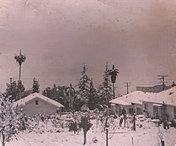 Altadena, Remembered: Displaced Fire Survivors Gather in Solidarity and Love