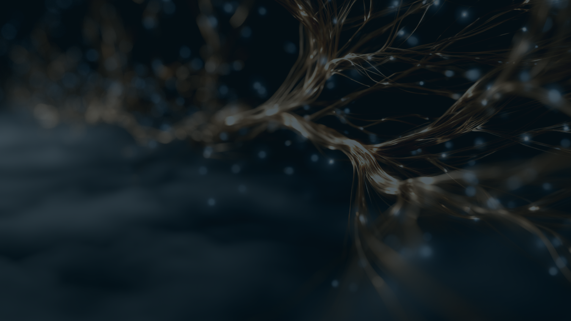 The Intelligence Brief