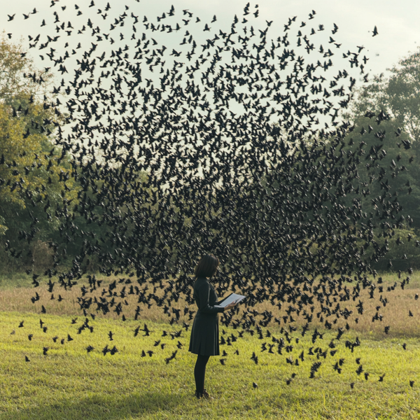 Shaping Architecture Through Behaviour