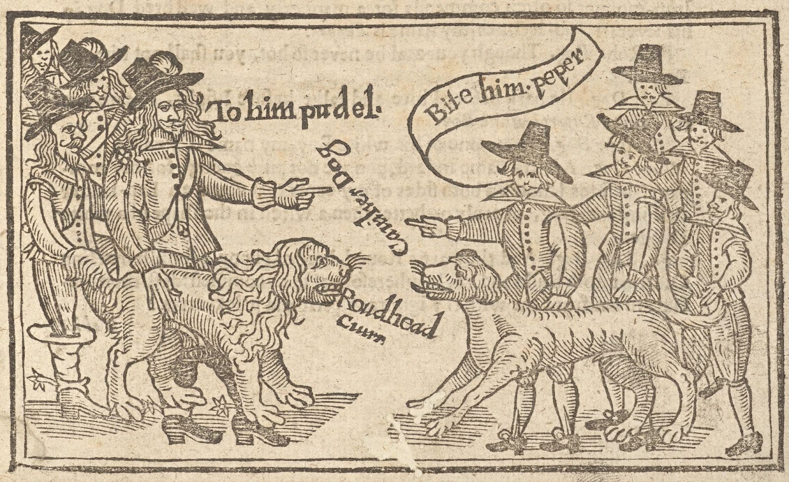 The Oldest Octopus Fossil Ever Isn’t An Octopus At All, Scientists Discover