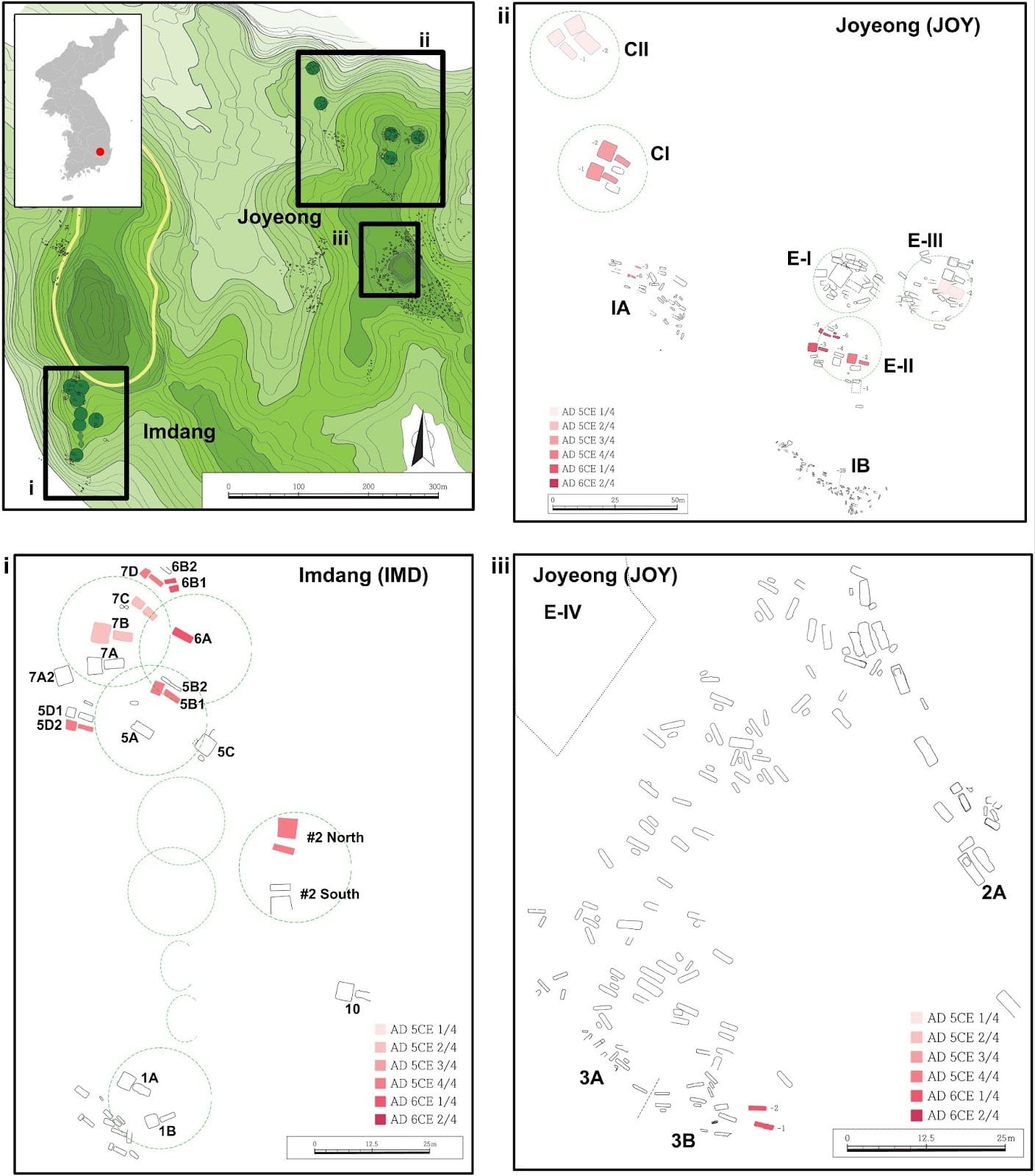 The Oldest Octopus Fossil Ever Isn’t An Octopus At All, Scientists Discover