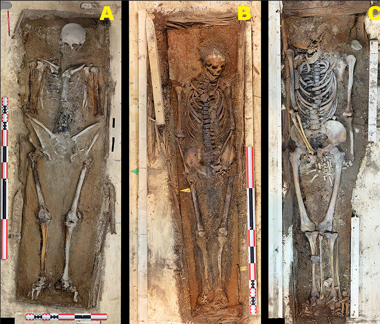 ‘Corpse Point’ In the Arctic Is Melting, Disturbing Centuries-Old Bodies