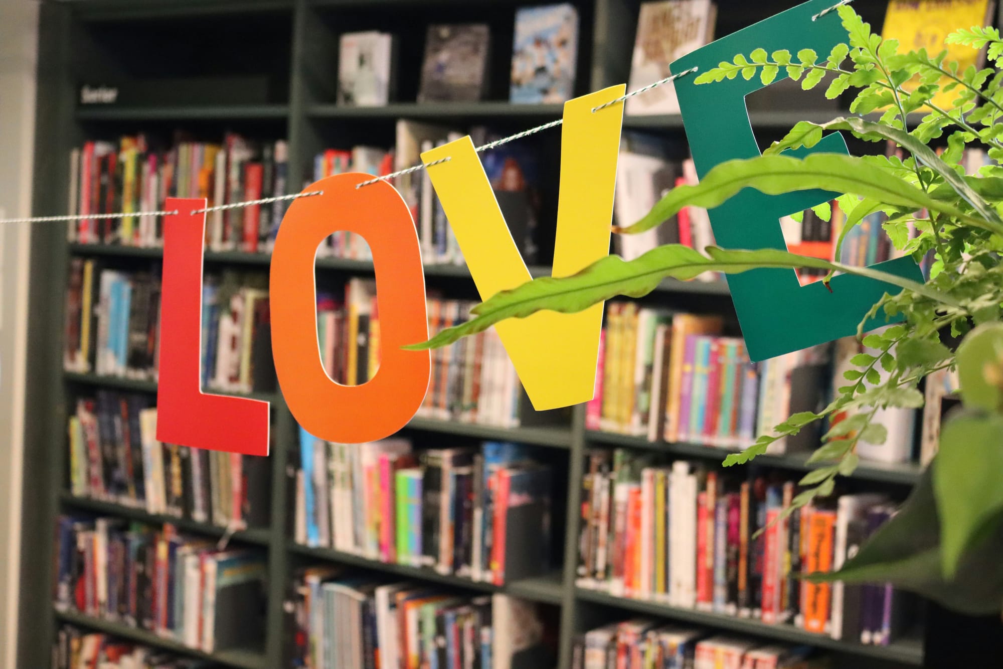 Libraries Not Doing Pride Displays Say They ‘Shouldn’t Be Judged’
