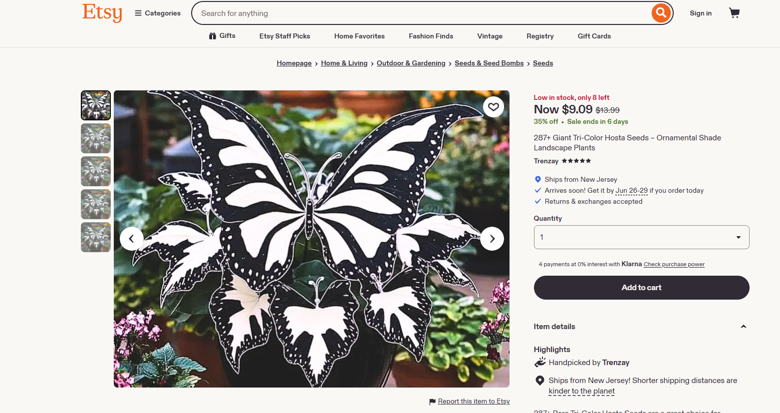 Scammers Sell Seeds for Exotic AI-Generated Flowers That Don’t Exist