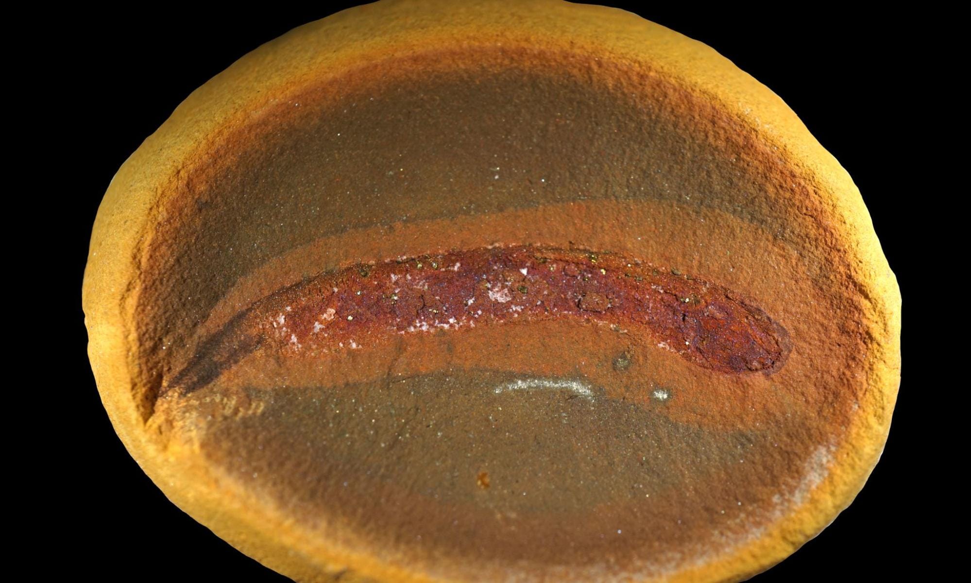 A New Fossil Discovery Just Rewrote 150 Years of Evolutionary Theory