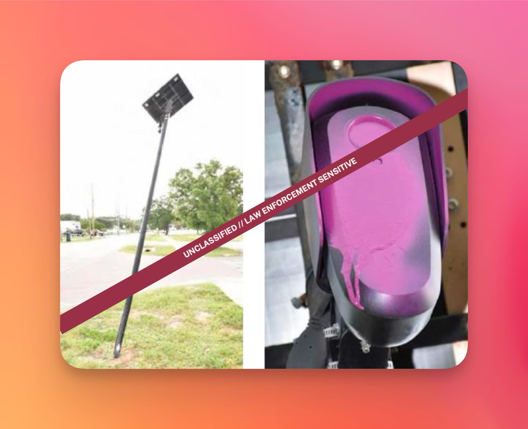 The Government is Monitoring Anti-Flock TikTok and Instagram Accounts