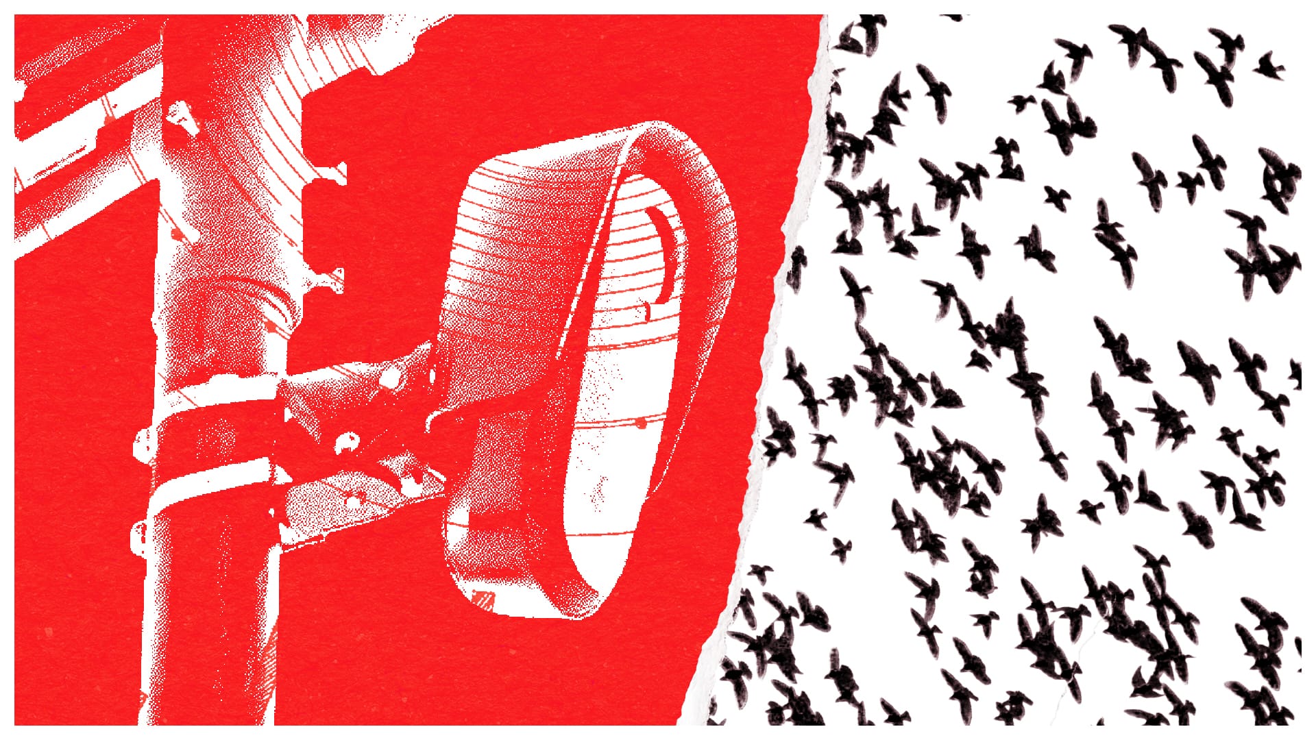 How Cities Are Forced to Funnel License Plate Data to a Massive Federal Surveillance Program