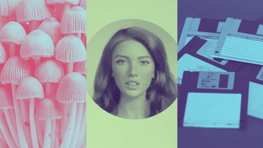 Behind the Blog: Secretive Service and Being Taken Seriously