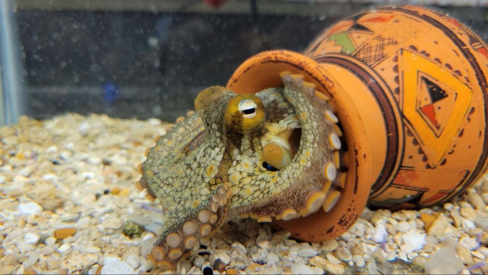 The Moon Got Obliterated and Lost a Bunch of Craters