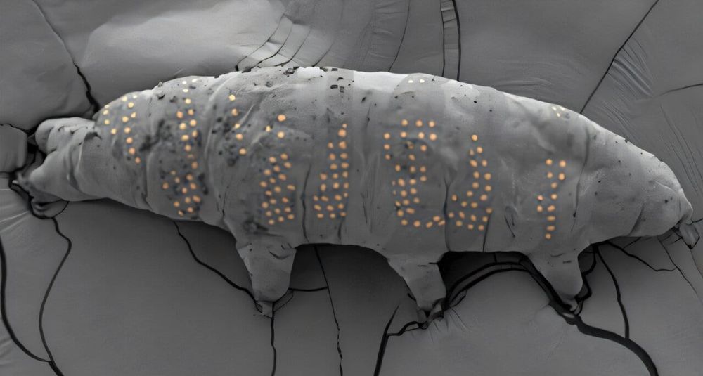 These Tardigrades Have Tiny Tattoos