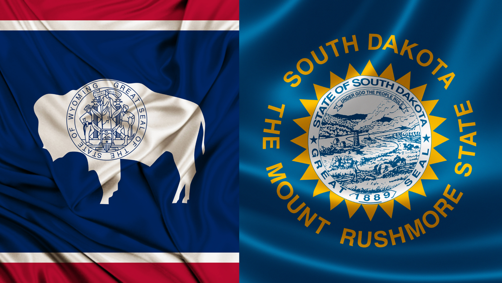 Wyoming and South Dakota Age Verification Laws Could Include Huge Parts of the Internet