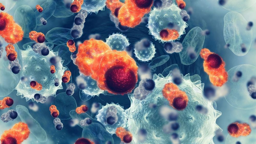 A New 'Nanoparticle Vaccine' Prevented Cancer In Mice, Study Says