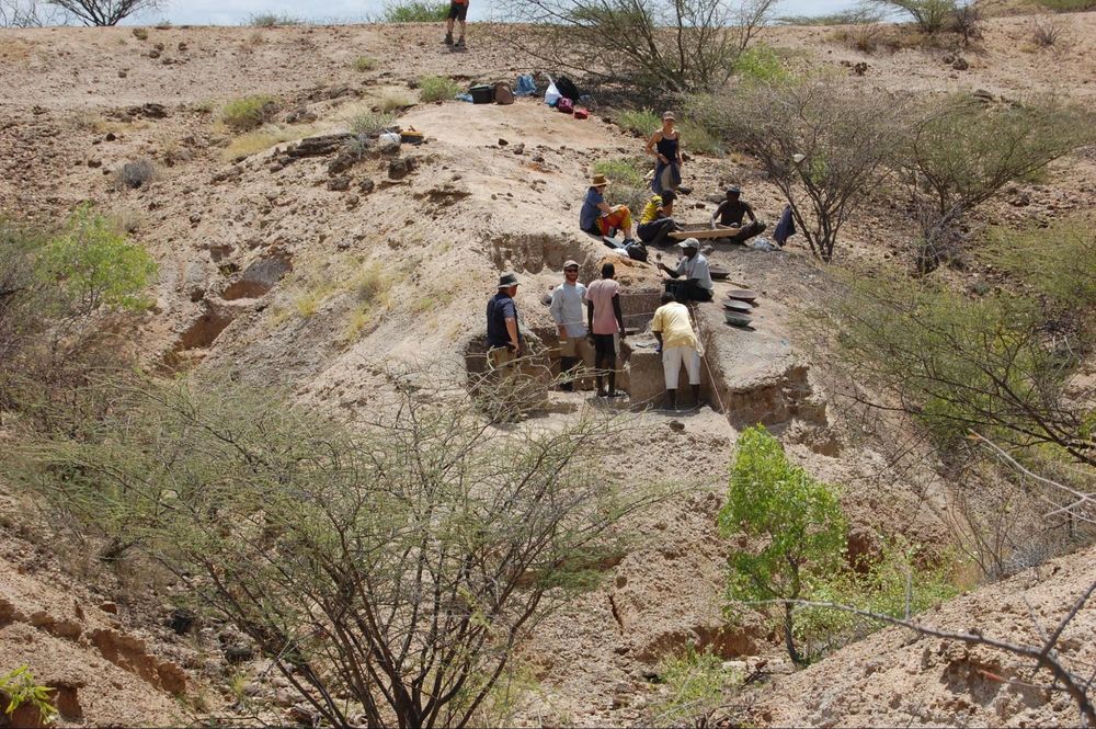 Advanced 2.5 Million-Year-Old Tools May Rewrite Human History