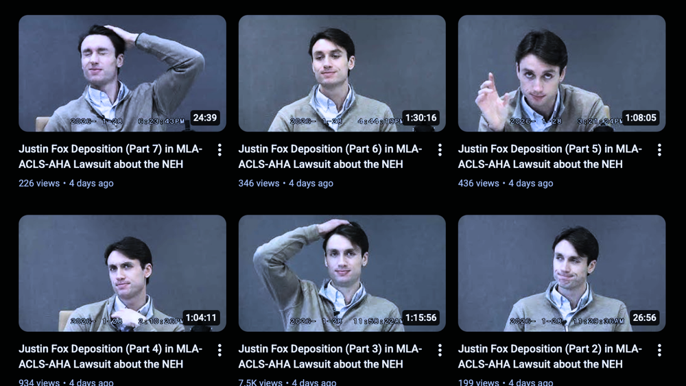 DOGE Deposition Videos Taken Down After Judge Order and Widespread Mockery