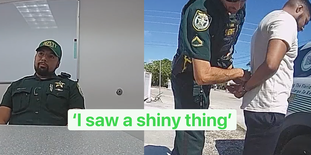 'I Saw a Shiny Thing': Cop Explains Why He Used License Plate Reader to Stalk Woman
