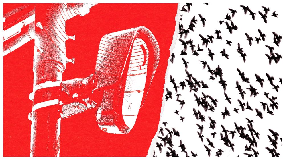 How Cities Are Forced to Funnel License Plate Data to a Massive Federal Surveillance Program