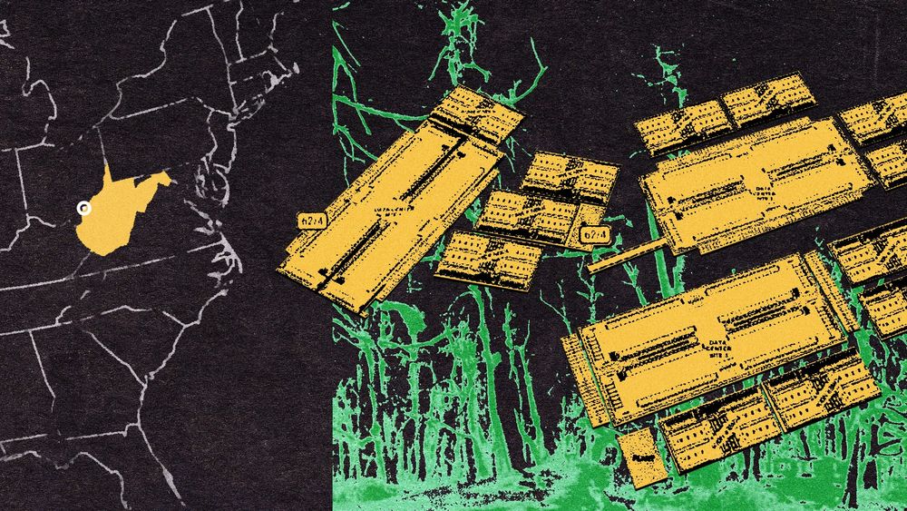 The Chestnut Grove Caught in the Middle of A Years-Long Data Center Fight