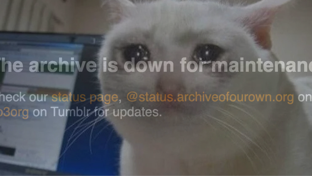 ‘Wake Up Call:’ Fanfiction Writers and Readers React to AO3 Outage