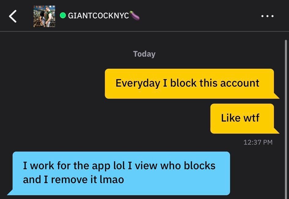 A screenshot of the chat provided by ML.
