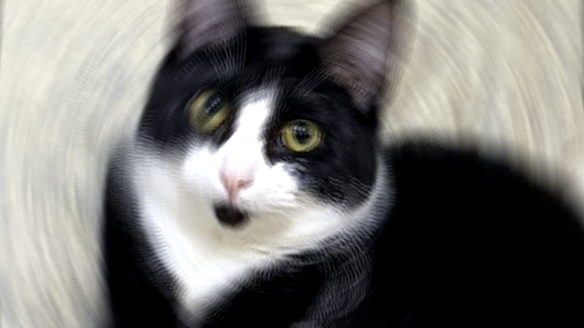 Tux the cat. Edit by 404 Media