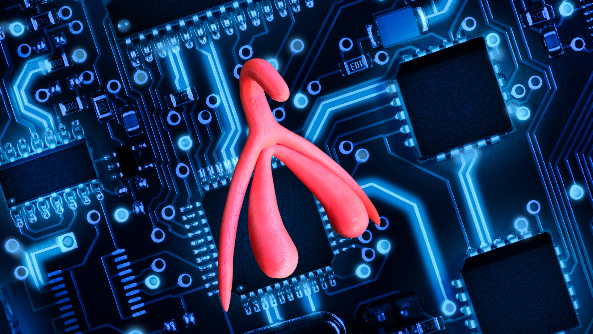 The Quantified Clit: This Urologist Is Making a Smart Wearable for the Clitoris