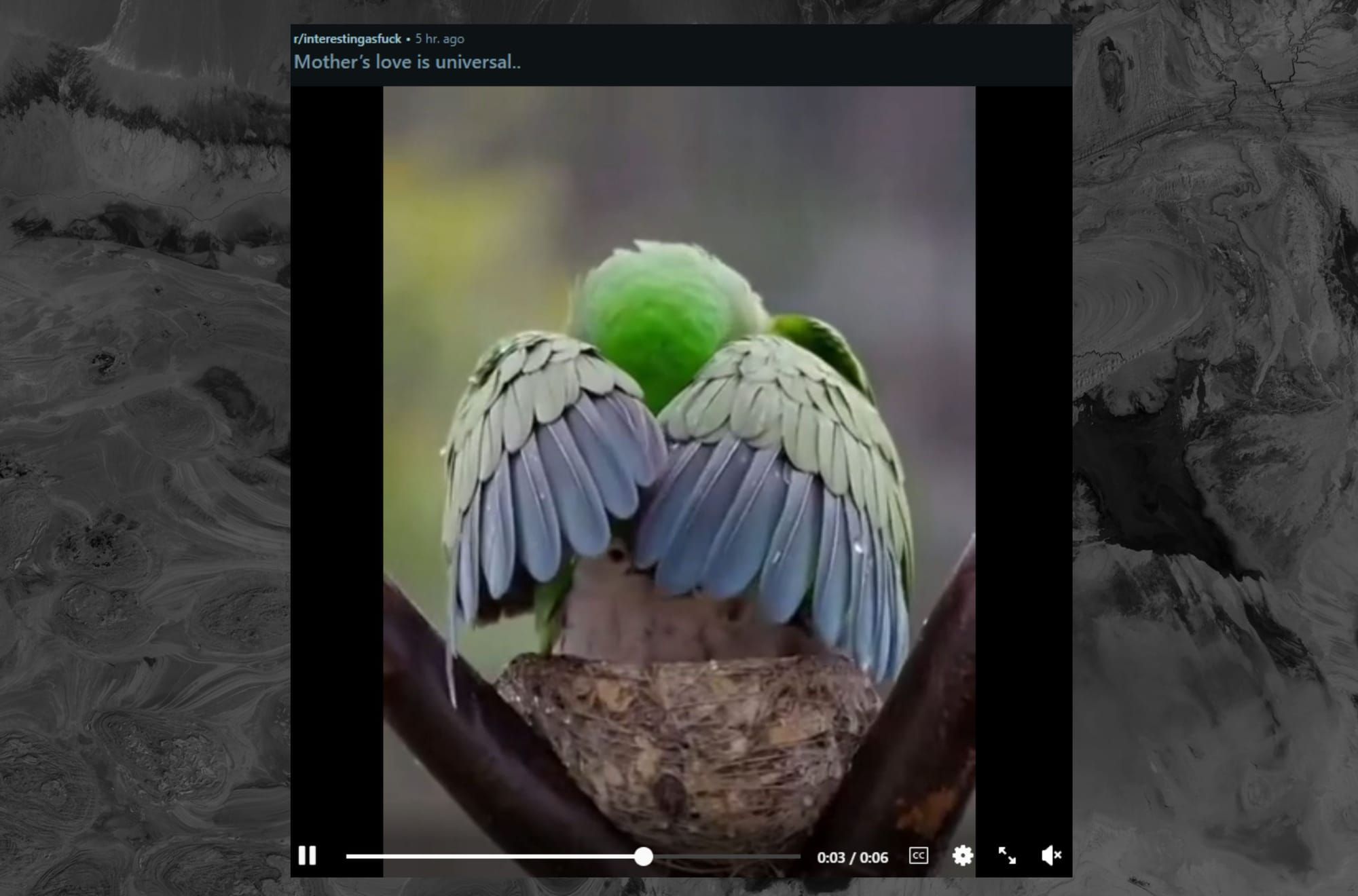 Reddit’s ‘Interesting as Fuck’ Community Rules That AI-Generated Video Is Not Interesting