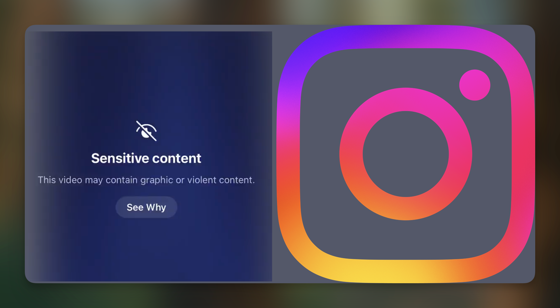 Instagram 'Error' Turned Reels Into Neverending Scroll of Murder, Gore, and Violence