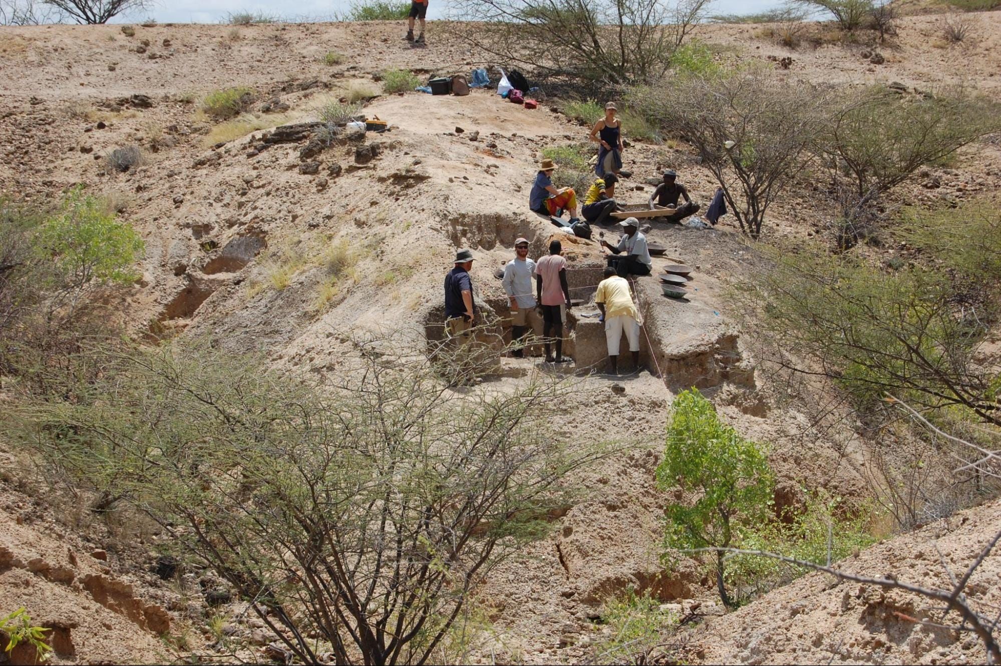 Advanced 2.5 Million-Year-Old Tools May Rewrite Human History