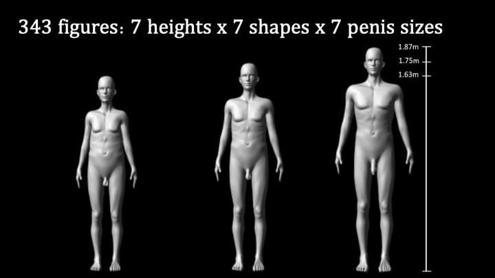 Scientists Got Men to Rate Penises by How Intimidating They Are. This Is What They Found.