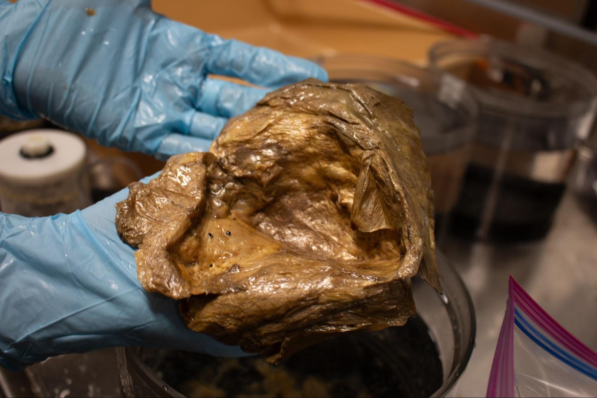 A Mysterious Golden Orb Was Discovered Under the Sea. We Finally Know What It Is.